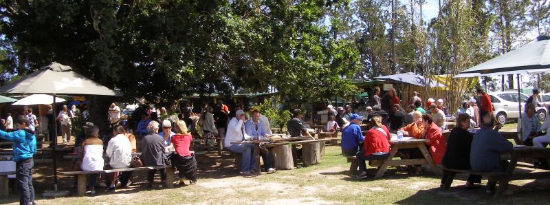 Under the oak at Harkerville Market